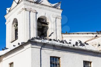 pigeons on roof of old bell tower in Suzdal town in winter in Vladimir oblast of Russia