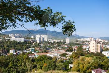 travel to Crimea - green tree branch and above view of Alushta city from Castle Hill in sunny morning