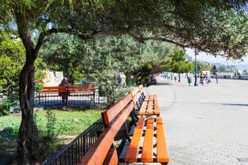 travel to Crimea - olive tree over wooden bench on Lenin Street Embankment on coast of Black Sea in Alushta city