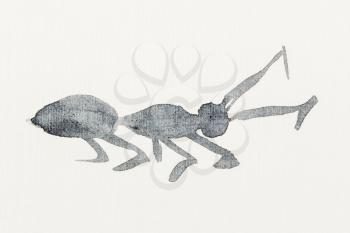 hand painting in sumi-e style on cream paper - sketch of ant drawn by black watercolors