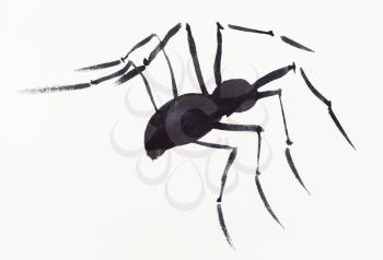 hand painting in sumi-e style on cream paper - one spider drawn by black watercolors