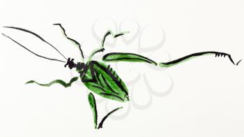 hand painting in sumi-e style on cream paper - grasshopper drawn by green and black watercolors