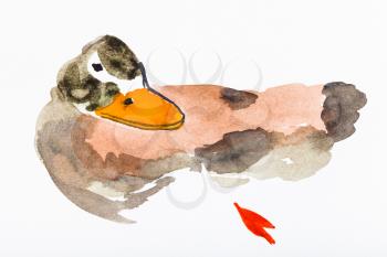hand painting in sumi-e style on white paper - colorful duck drawn by watercolors