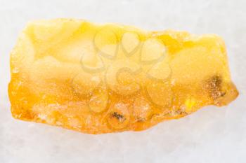 macro shooting of natural mineral rock specimen - rough baltic Amber gemstone on white marble background from Latvia