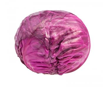head of ripe red cabbage isolated on white background