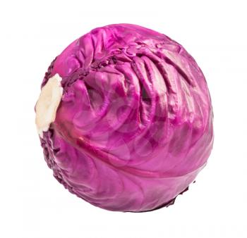 cabbagehead of ripe red cabbage isolated on white background