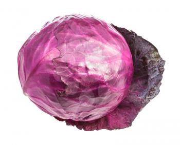 head of ripe red cabbage on leaf isolated on white background