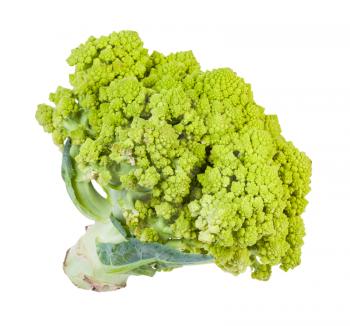 fresh romanesco broccoli isolated on white background