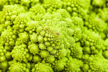 natural food background - texture of fresh romanesco broccoli cabbagehead close-up