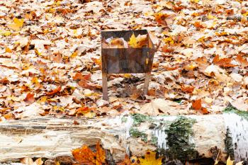 rusty small barbecue grill with trash on meadow covered by fallen leaves in city park in autumn
