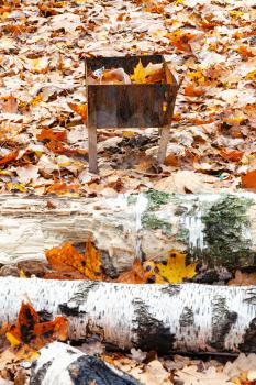 little grill with trash on meadow covered by fallen leaves in city park in autumn