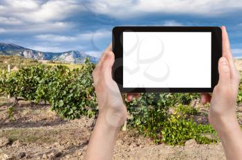 travel concept - tourist photographs Massandra vineyard of near Alushta town in mountain valley on Crimean Southern Coast in september on tablet with cut out screen for advertising logo