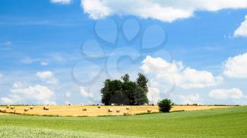 country landscape - cereal fields under blue sky with white clouds in Picardy region of France in summer day