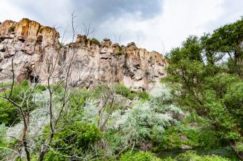 Travel to Turkey - green trees in old gorge of Ihlara Valley in Aksaray Province in Cappadocia in spring