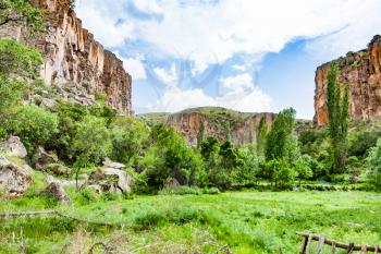 Travel to Turkey - green meadow in Ihlara Valley of Aksaray Province in Cappadocia in spring