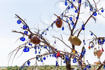 Travel to Turkey - tree decorated by local amulets in Goreme National Park in Cappadocia in spring
