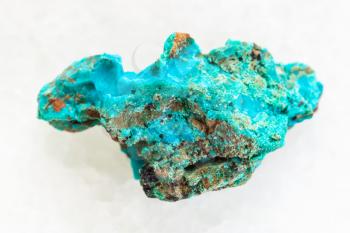 macro shooting of natural mineral rock specimen - raw Chrysocolla stone in copper sandstone on white marble background from Zabaykalsky Krai of Russia