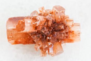 macro shooting of natural mineral rock specimen - rough crystal of Aragonite gemstone on white marble background from Tazouta, Morocco