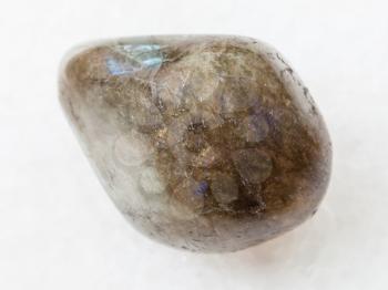 macro shooting of natural mineral rock specimen - tumbled labradorite gem stone on white marble background from Finland