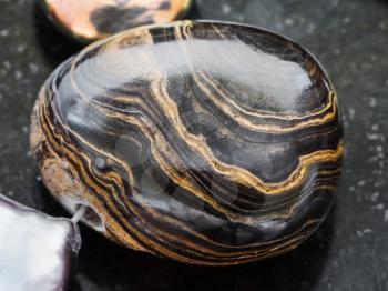 macro shooting of natural mineral rock specimen - pendant from Stromatolite gemstone on dark granite background