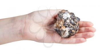 piece of zinc and lead mineral ore (sphalerite with galena) on female palm isolated on white background
