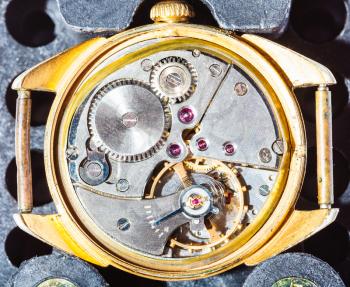 watchmaker workshop - open old watch in gold case fixed in plastic holder for repairing