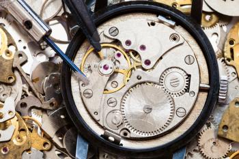 watchmaker workshop - top view of screwdriver, tweezers on clockwork on clock spare parts