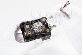 watchmaker workshop - repairing of mechanic wristwatch with screwdriver on white background