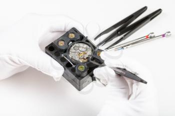watchmaker workshop - repairing of mechanical watch with tweezers on white background