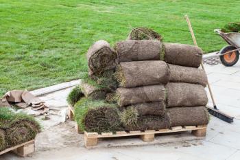 installing a new lawn - pieces of turf on a wooden pallet near green field