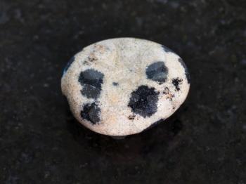 macro shooting of natural mineral rock specimen - tumbled dalmatian stone on dark granite background