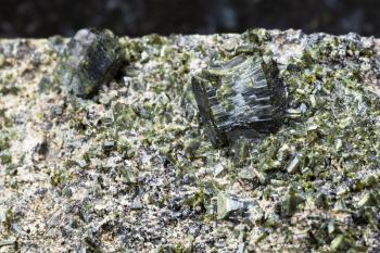 macro shooting of natural mineral stone specimen - crystals of Epidote on rock on dark granite background from Irkutsk region, Russia