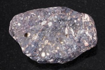 macro shooting of natural mineral rock specimen - pebble of porous basalt stone on dark granite background from Buryatia, Russia