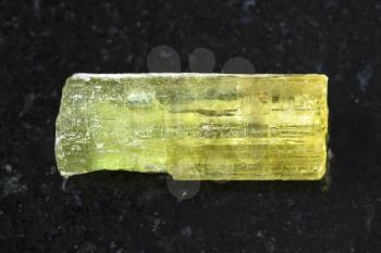 macro shooting of natural mineral rock specimen - rough crystal of Heliodor (yellow beryl) gemstone on dark granite background from Sherlova Gora mine, Transbaikalia (Zabaykalye), Russia