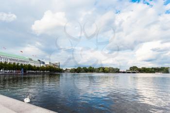 Travel to Germany - white swan near embankment of Binnenalster (Inner Alster Lake) in Hamburg city in september