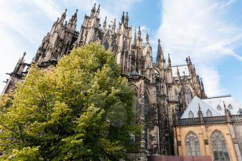 travel to Germany - green tree and Cologne Cathedral (Cathedral Church of Saint Peter) in september