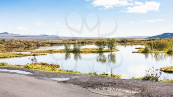 travel to Iceland - swamp in rift valley in Thingvellir national park in september