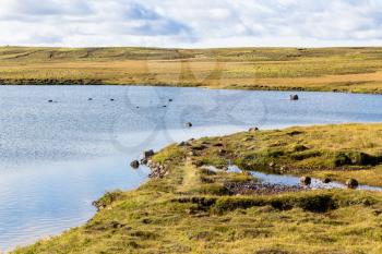 travel to Iceland - Leirvogsvatn marsh landscape of Iceland in september sunny day