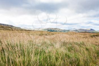 travel to Iceland - pasture land near Skeggjastadir farm in september