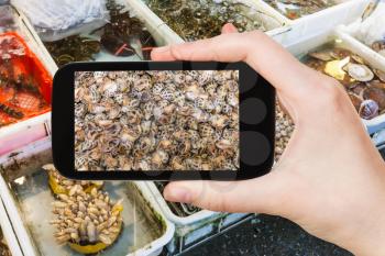 travel concept - tourist photographs mollusks on Huangsha Aquatic Product Trading Market in Guangzhou city in China in spring season on smartphone