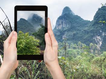 travel concept - tourist photographs rainforest on slope green karst mountains in Yangshuo County in spring season in China on smartphone
