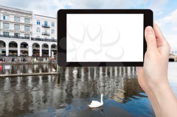 travel concept - tourist photographs swan in Binnenalster (Inner Alster Lake) in Hamburg city in autumn on tablet with cut out screen for advertising logo