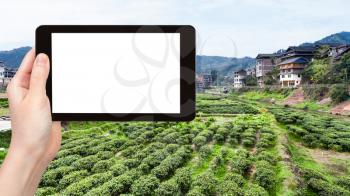 travel concept - tourist photographs green tea plantation in Chengyang village of Sanjiang Dong Autonomous County in China in spring on tablet with cut out screen for advertising