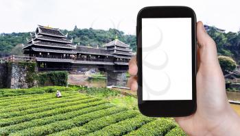 travel concept - tourist photographs tea field and Wind and Rain (Fengyu) bridge in Chengyang village of Sanjiang Dong Autonomous County in China on smartphone with cut out screen for advertising