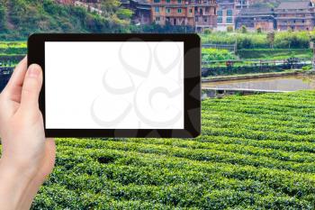 travel concept - tourist photographs tea field near irrigation canal in Chengyang village of Sanjiang Dong Autonomous County in China in spring on tablet with cut out screen for advertising logo