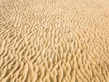 travel to France - surface of yellow sand beach Le Touquet (Le Touquet-Paris-Plage) on coast of English Channel