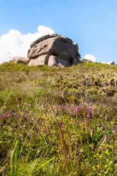 travel to France - boulder at green moorland in Ploumanac'h site of Perros-Guirec commune on Pink Granite Coast of Cotes-d'Armor department in the north of Brittany in sunny summer day