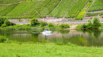 travel to Germany - Mosel river and vineyards in Cochem - Zell region on Moselle wine route in sunny summer day