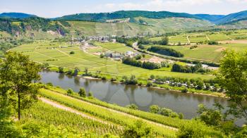travel to Germany - above view of vineyards and gardens in valley of Mosel river in Cochem - Zell region on Moselle wine route in sunny summer day