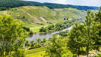 travel to Germany - above view of valley of Mosel river in Cochem - Zell region on Moselle wine route in sunny summer day